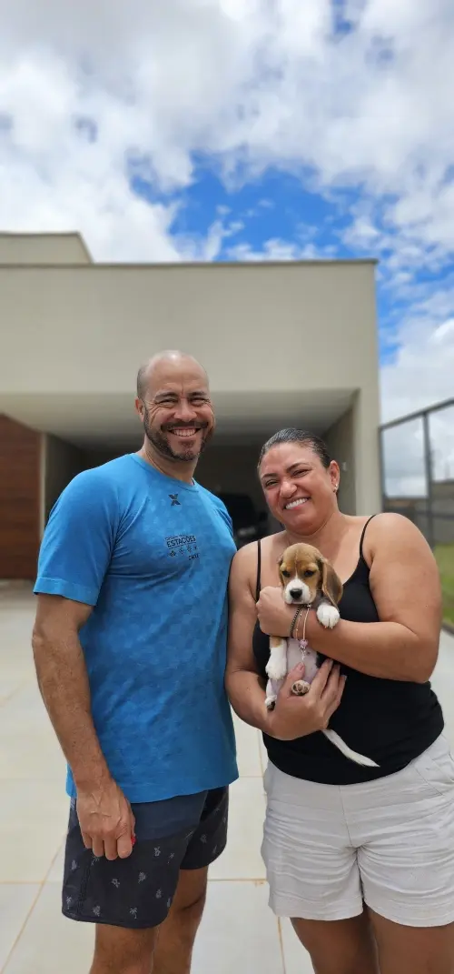 Gangue dos Beagles Pedrita que agora se chama Lunna.
Proprietário Ednilson
Ponte Alta Norte Gama - DF