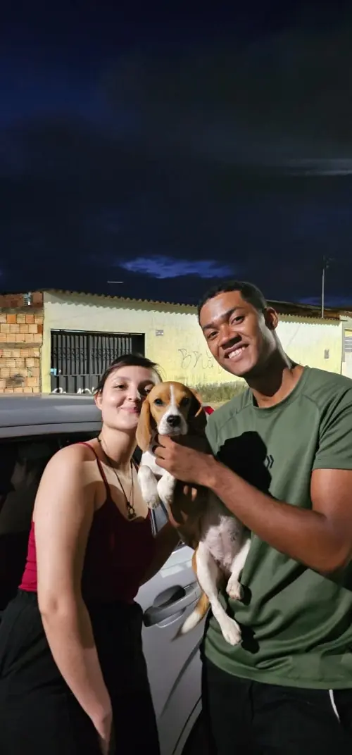Gangue dos Beagles Opala que agora se chama Laila
Proprietário João Pedro
Pedregal / Novo Gama - GO