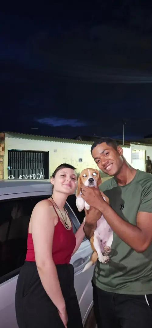 Gangue dos Beagles Opala que agora se chama Laila
Proprietário João Pedro
Pedregal / Novo Gama - GO