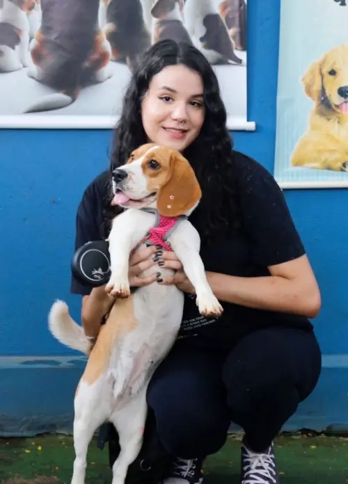 Gangue dos Beagles Jasmine (Lolla) 
Proprietária Valeria 
Guará -DF