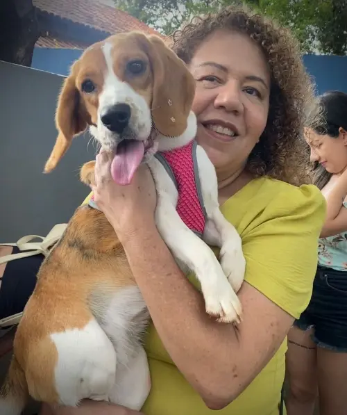 Gangue dos Beagles Jasmine (Lolla) 
Proprietária Valeria 
Guará -DF