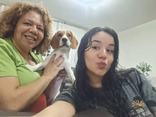 Gangue dos Beagles Jasmine (Lolla) 
Proprietária Valeria 
Guará -DF