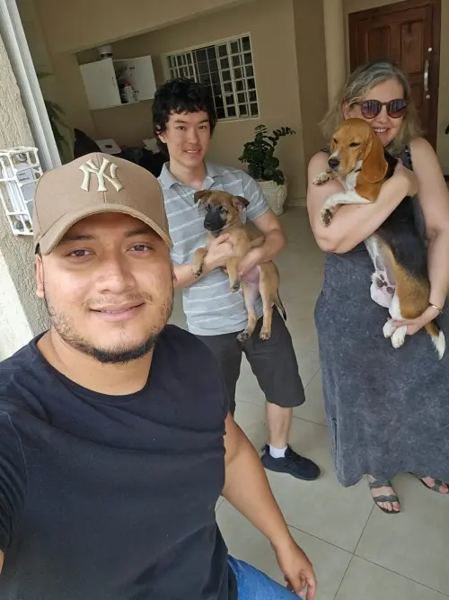 Gangue dos Beagles Kiko
Proprietária Patrícia
Taguatinga -DF
