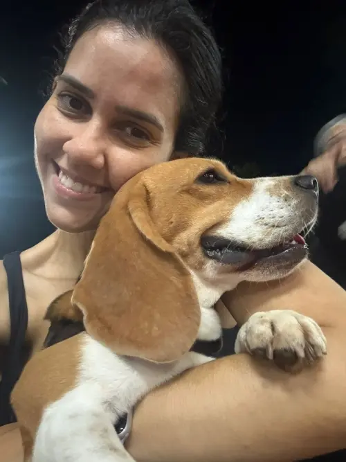 Gangue dos Beagles Keanu Reeves
Proprietária Jessica 
Rio Branco - MT