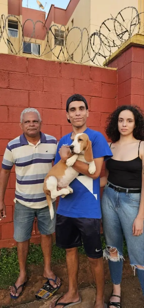 Gangue dos Beagles Kobe (Tricolor) e Gangue dos Beagles Michael Jackson (Bicolor)
Proprietário Carlos Eduardo 
Guará - DF